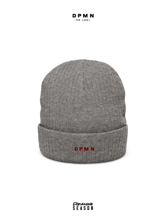 Ribbed Knit Beanie Grey Classic - Dpmn fall/winter Season
