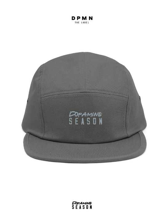 Five Panel Hat Grey - Dpmn fall/winter Season