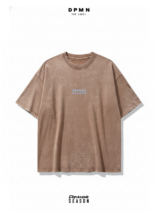 Oversized Heavy Cotton Terracota Wash - Dpmn fall/winter Season