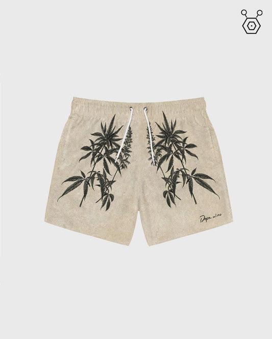 Swim Short // Maria