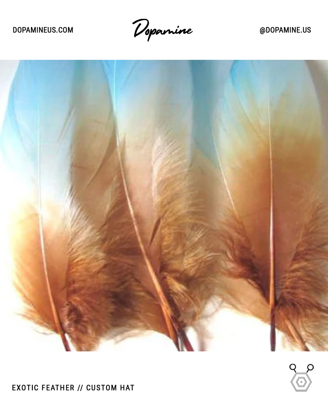 Exotic Feathers